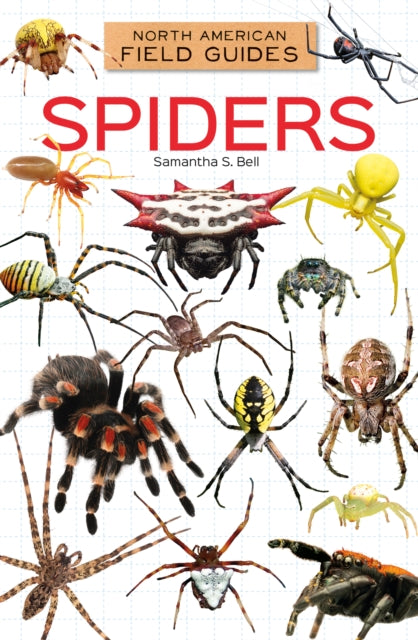 Spiders cover