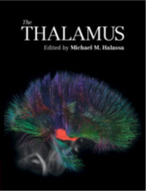 The Thalamus cover