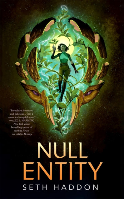 Null Entity cover