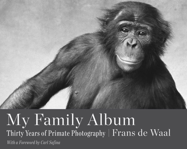 My Family Album cover