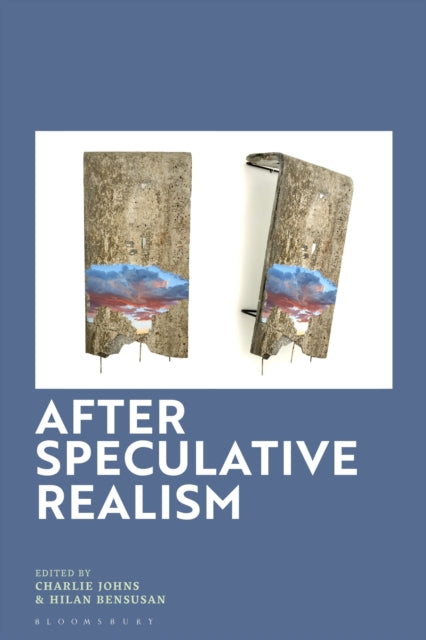After Speculative Realism cover