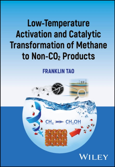 Low-temperature Activation and Catalytic Transformation of Methane to Non-CO2 Products cover