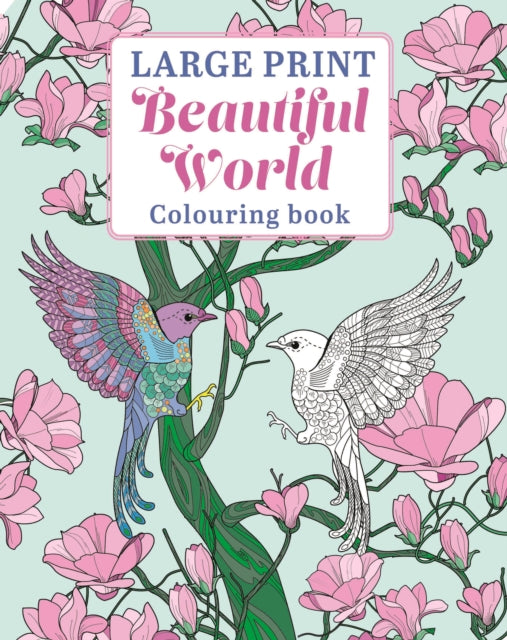Large Print Beautiful World Colouring Book cover