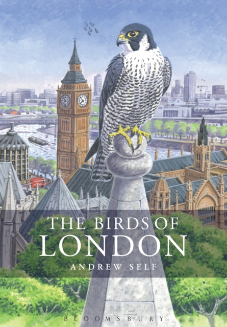 The Birds of London cover