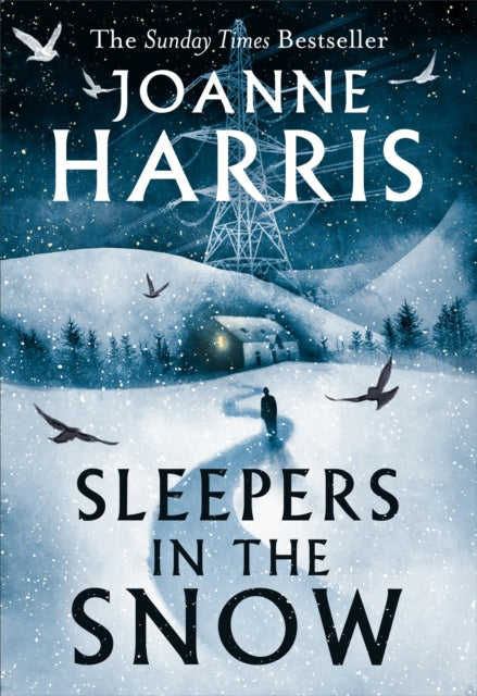 Sleepers in the Snow cover