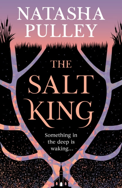 The Salt King cover