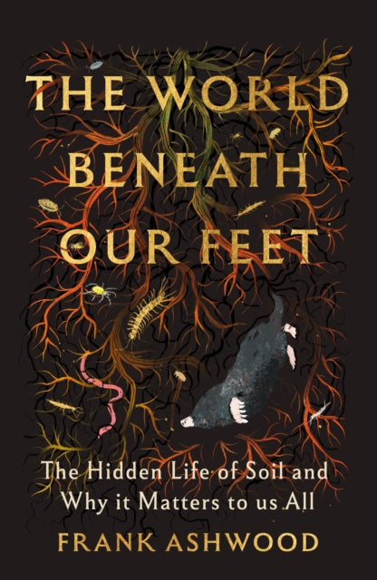 The World Beneath Our Feet cover