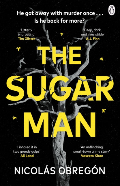 The Sugar Man cover