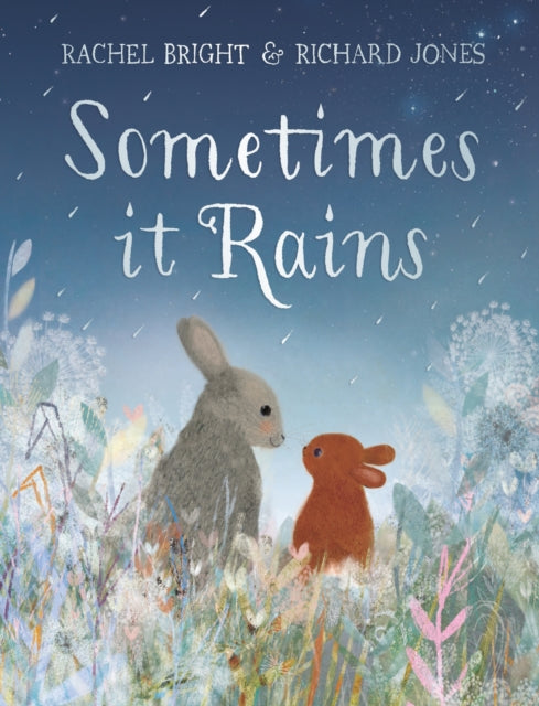 Sometimes It Rains cover