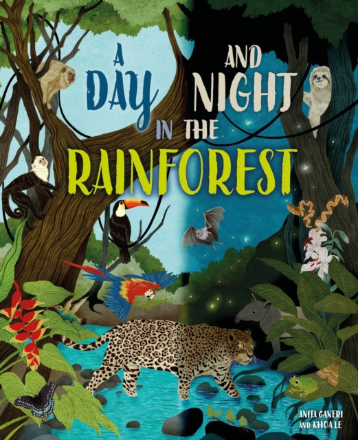 Day and Night: In a Rainforest cover