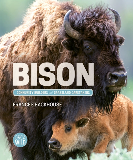 Bison cover