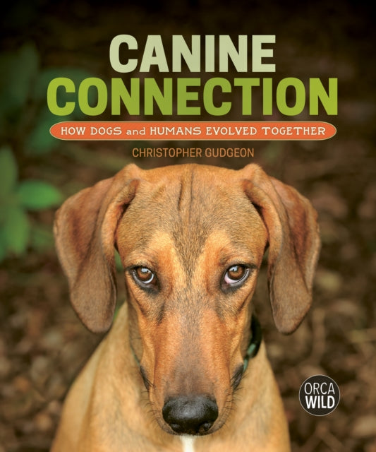 Canine Connection cover