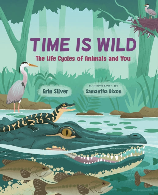 Time Is Wild cover