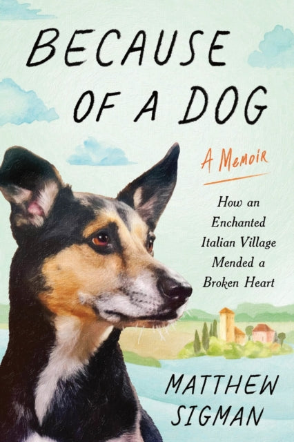 Because of a Dog cover