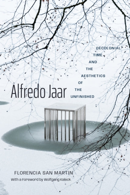 Alfredo Jaar cover