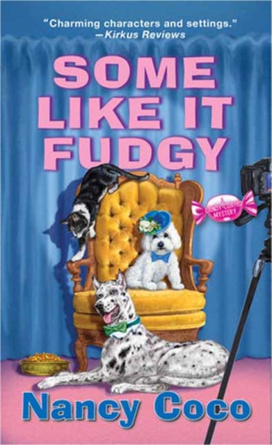 Some Like It Fudgy cover