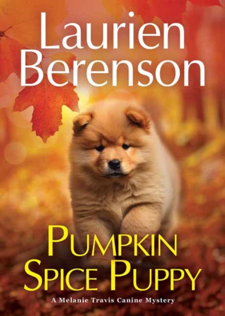 Pumpkin Spice Puppy cover