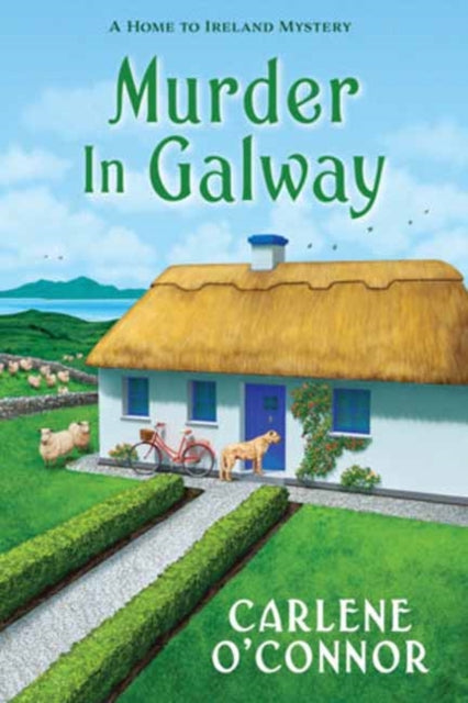 Murder in Galway cover