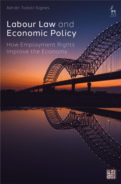 Labour Law and Economic Policy cover