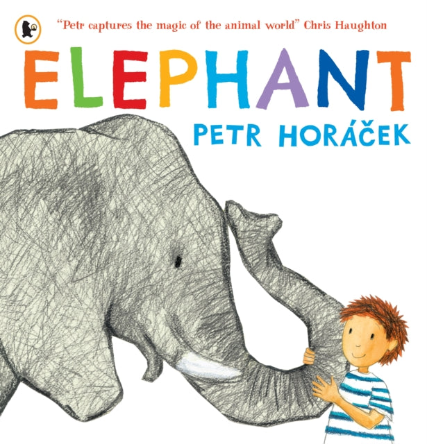 Elephant cover