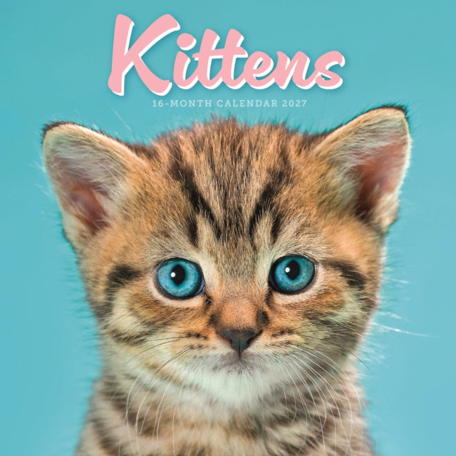 Kittens Mini cover
