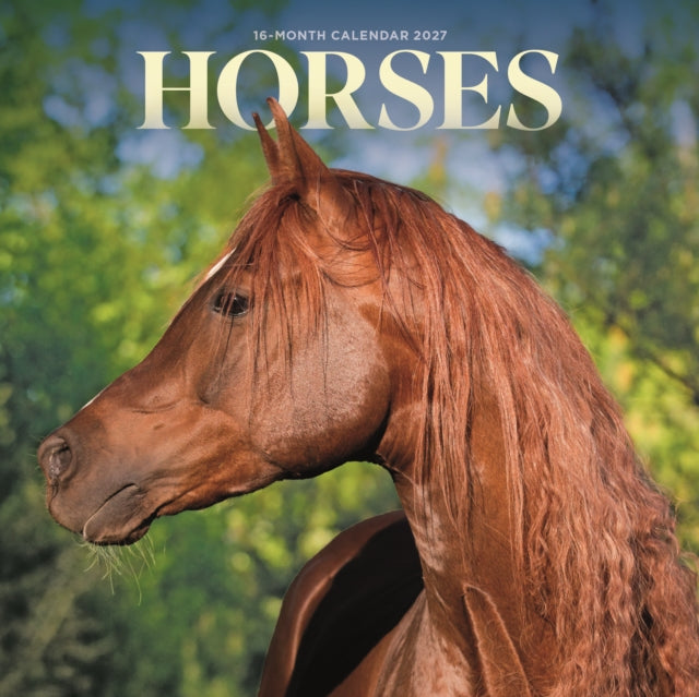 Horses M cover