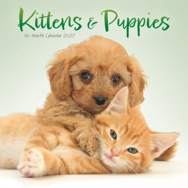 Kittens & Puppies Mini cover