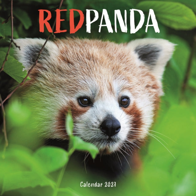 Red Pandas (PFP) W cover