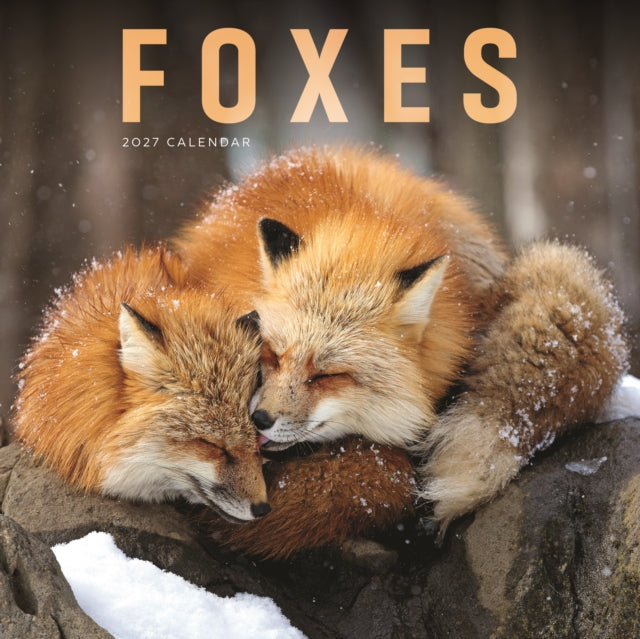 Foxes (PFP) W cover