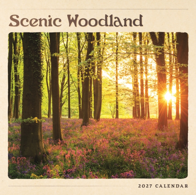 Scenic Woodland Wall cover