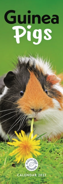 Guinea Pigs (PFP)Slim cover