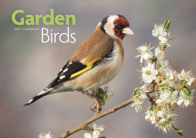 Garden Birds (PFP) A4 cover
