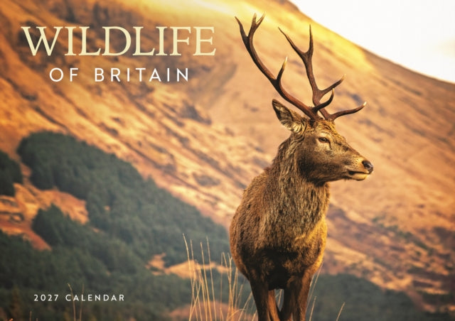 Wildlife of Britain (PFP) A4 cover
