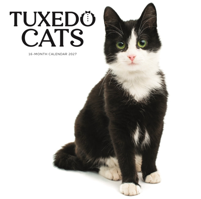 Tuxedo Cats SS ML Wall cover