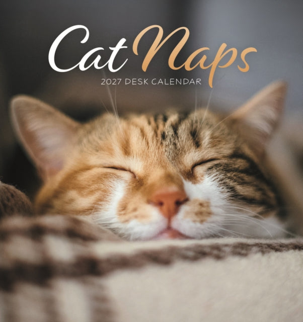 Cat Naps Easel cover