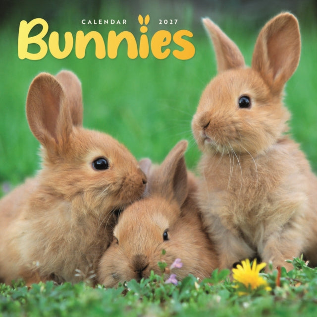 Bunnies Mini cover