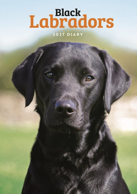 Labrador Retrievers Black A5 Engagement Diary cover