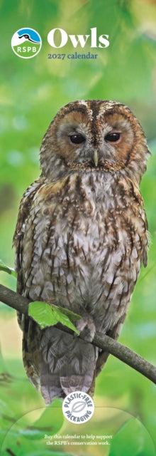 RSPB Owls (PFP) Slim cover