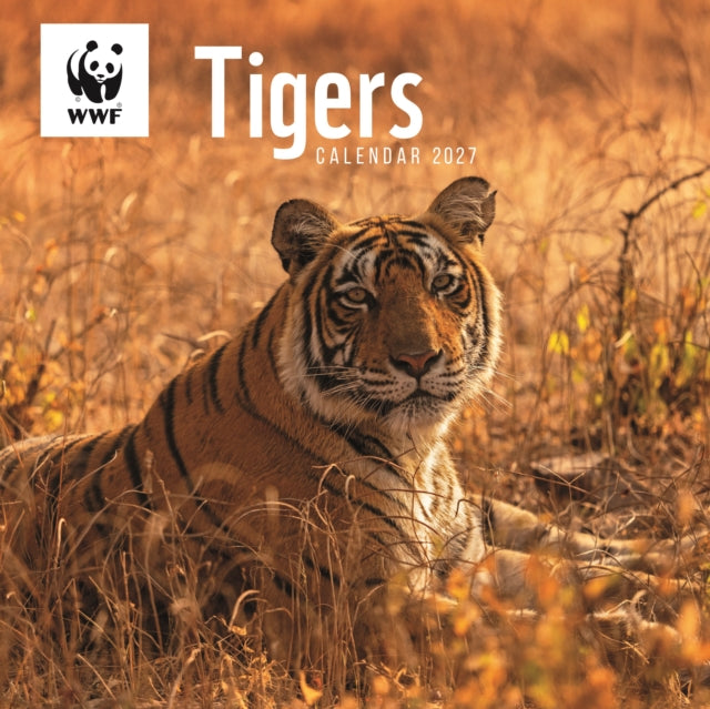 WWF Tigers (PFP) Wall cover