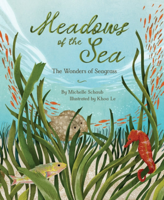 Meadows of the Sea cover