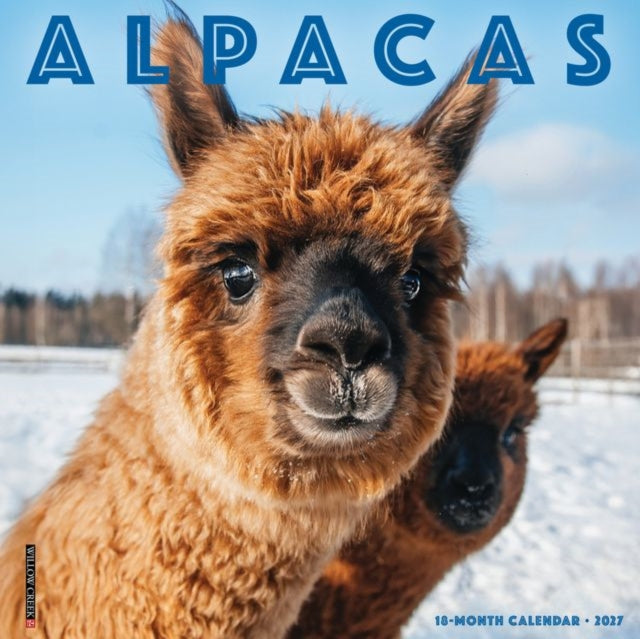 Alpacas 2027 Wall cover