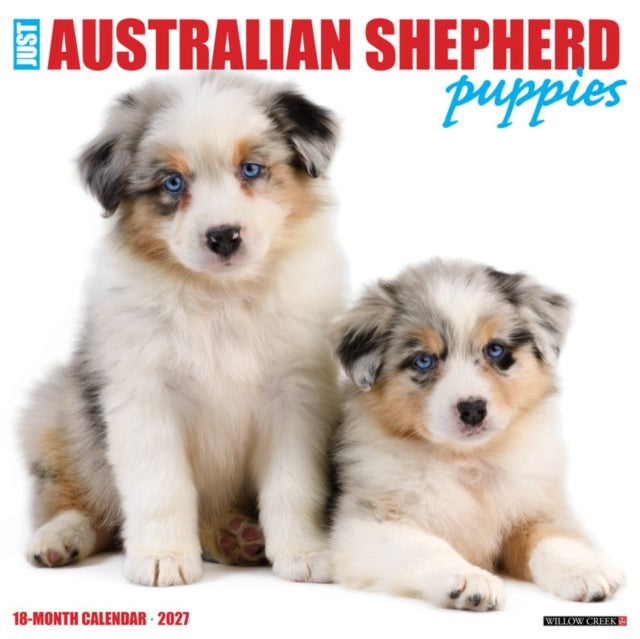 Australian Shepherd Puppies 2027 Wall cover