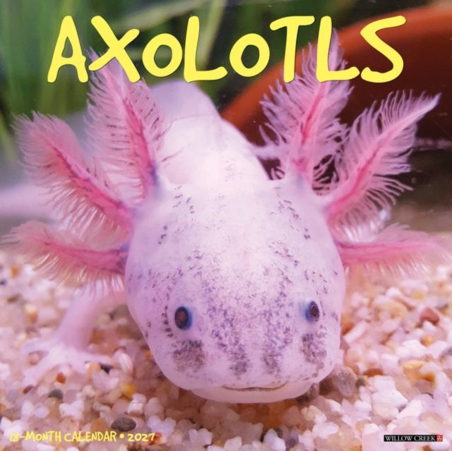 Axolotls 2027 Wall cover