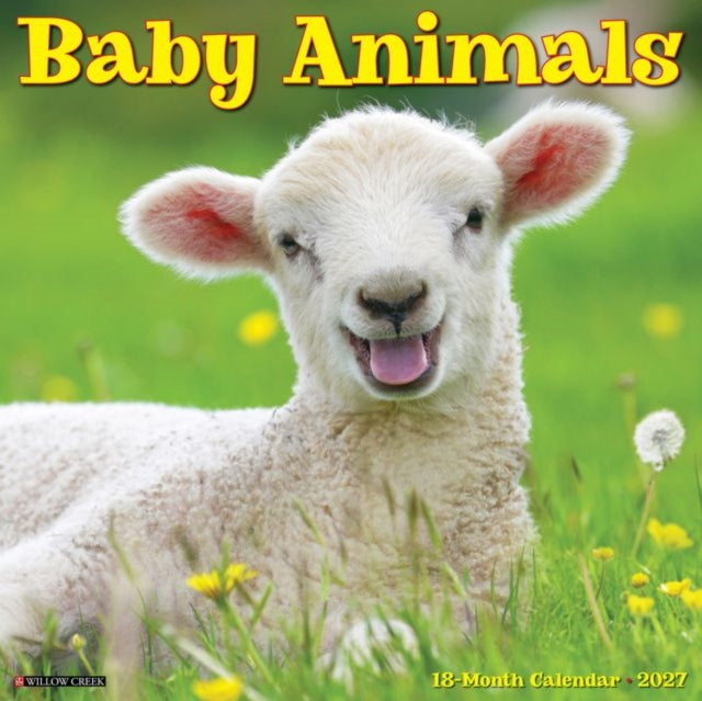Baby Animals 2027 Wall cover