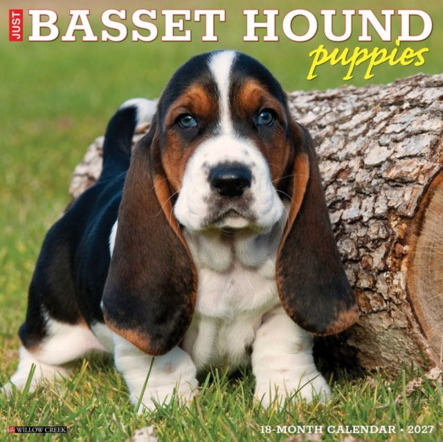 Basset Hound Puppies 2027 Wall cover