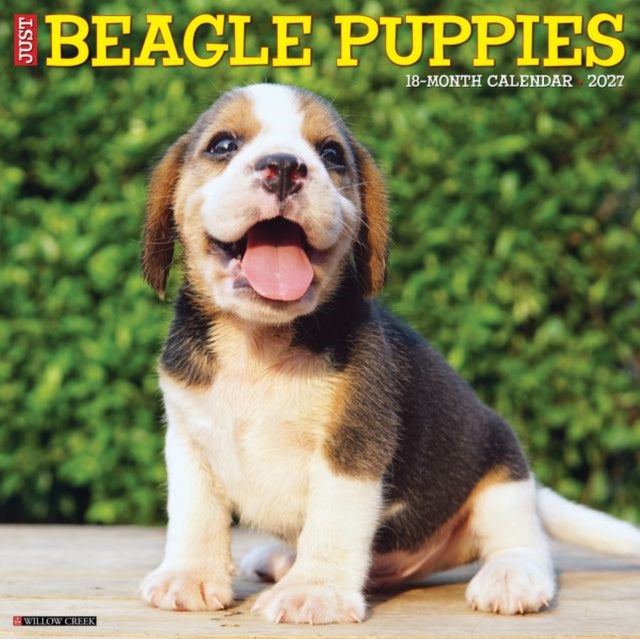 Beagle Puppies 2027 Wall cover