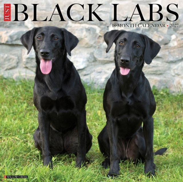 Black Labs 2027 Wall cover