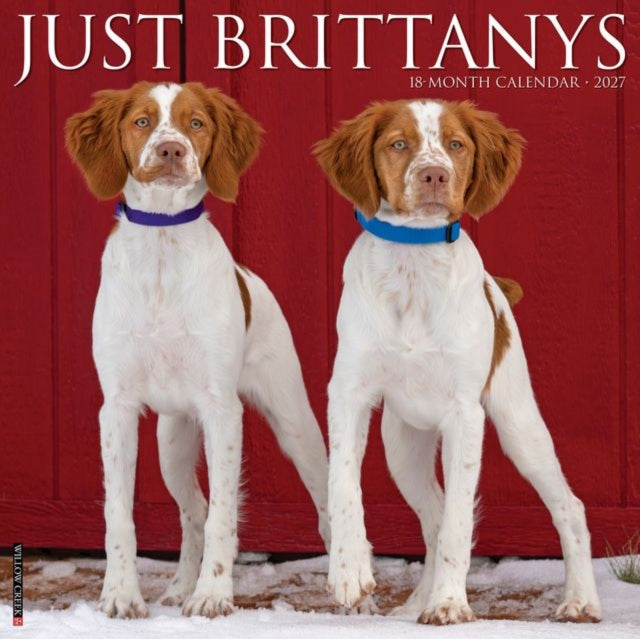 Brittanys 2027 Wall cover