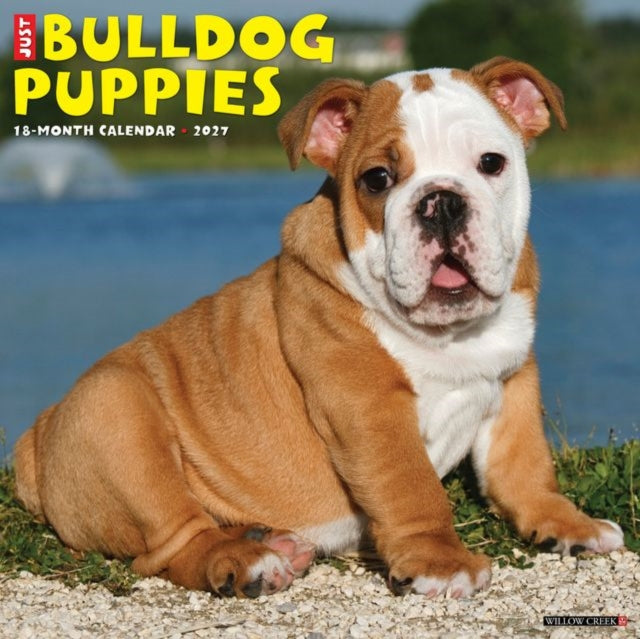 Bulldog Puppies 2027 Wall cover