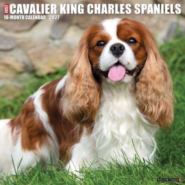 Cavalier King Charles Spaniels 2027 Wall cover
